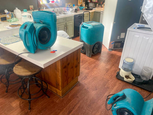 Best Carpet water damage restoration  in Westview, FL