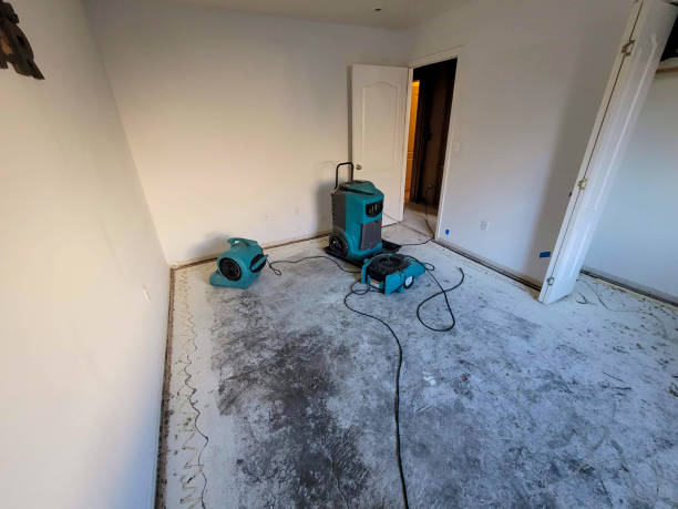 Best Water damage restoration insurance claims  in Westview, FL