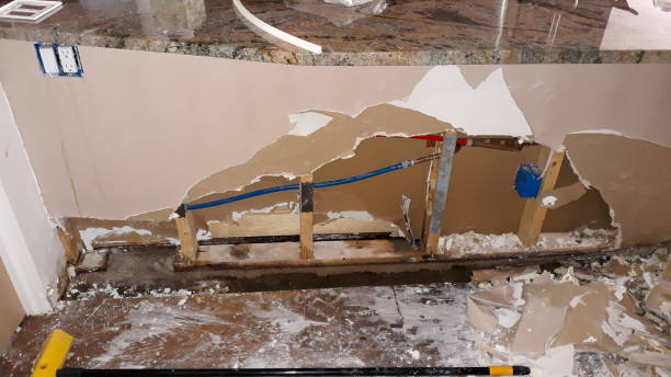 Best Residential water damage restoration  in Westview, FL