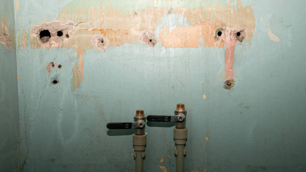 Best Water damage restoration services  in Westview, FL