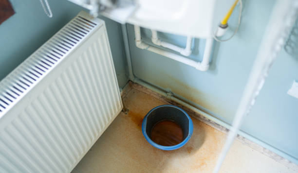 Best Basement water damage restoration  in Westview, FL
