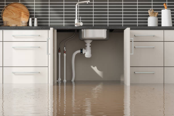 Best Commercial water damage restoration  in Westview, FL