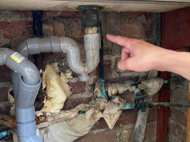 Best Mold removal after water damage  in Westview, FL