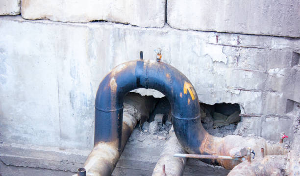 Best Ceiling water damage repair  in Westview, FL