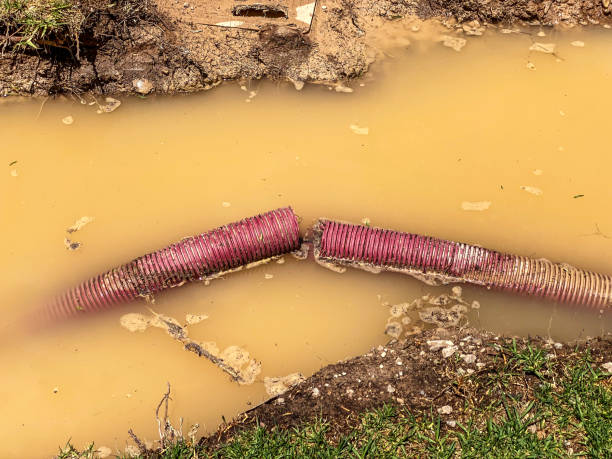 Best 24-hour water damage restoration  in Westview, FL