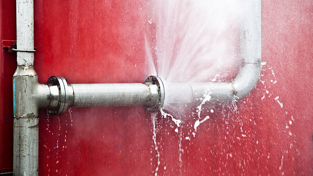 Best Flooded house restoration  in Westview, FL